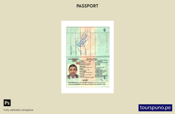 Listo para imprimir la plantilla actual del pasaporte de la República de Níger